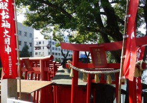 四国松山でお狸様に頼まれた