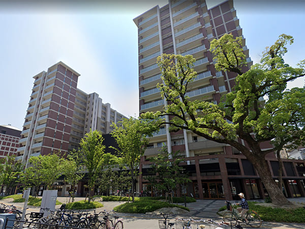 MJR六本松