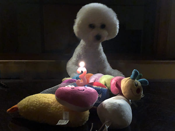 フミちゃん3歳の誕生日