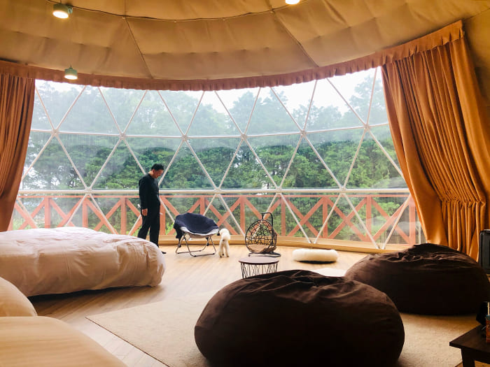 誕生日は犬と泊まれるグランシア別府鉄輪へ