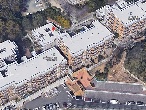 ダイアパレス植物園南